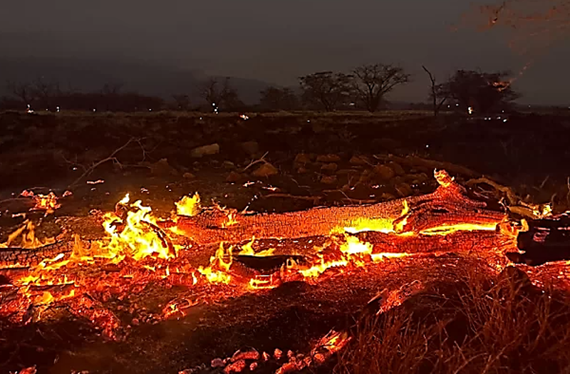 하와이 산불