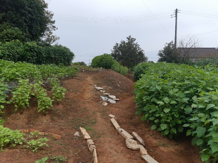 군산지원2022타경24115 본 건 전 경(제시외 분묘)