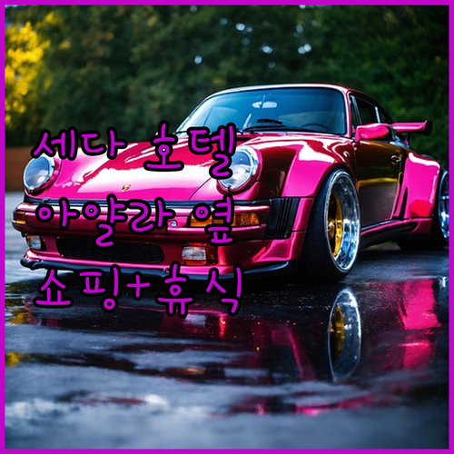 아얄라 센터 옆 세다 호텔! 세부 쇼