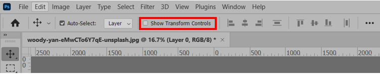 Show Transform Controls 사용하기
