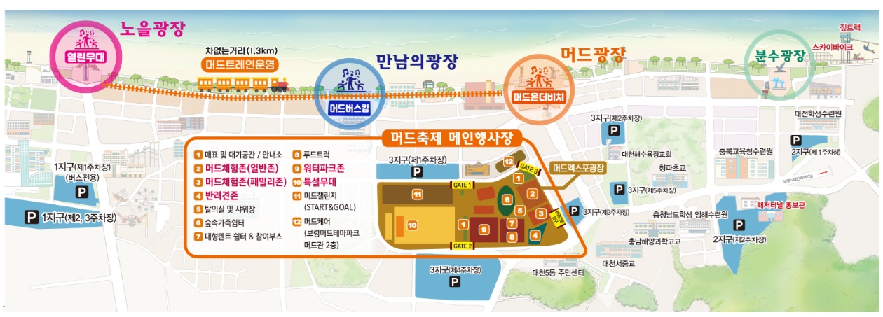 2025 보령 머드축제