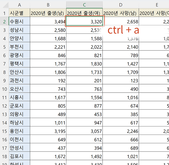 표안의 모든 데이터 선택