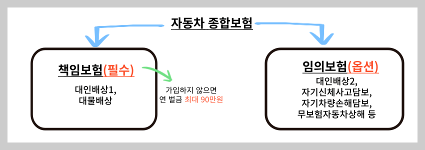 자동차 보험 대 운전자 보험 비교 및 ​​비교 (ft.12 공공과실, 피보험 손해, 신체 상해, 재산 손해, 강제 보험, 책임 보험, 개인 상해, 자동차 사고, 개인 차량 손해, 개인 자동차 보험, 무보험 상해)