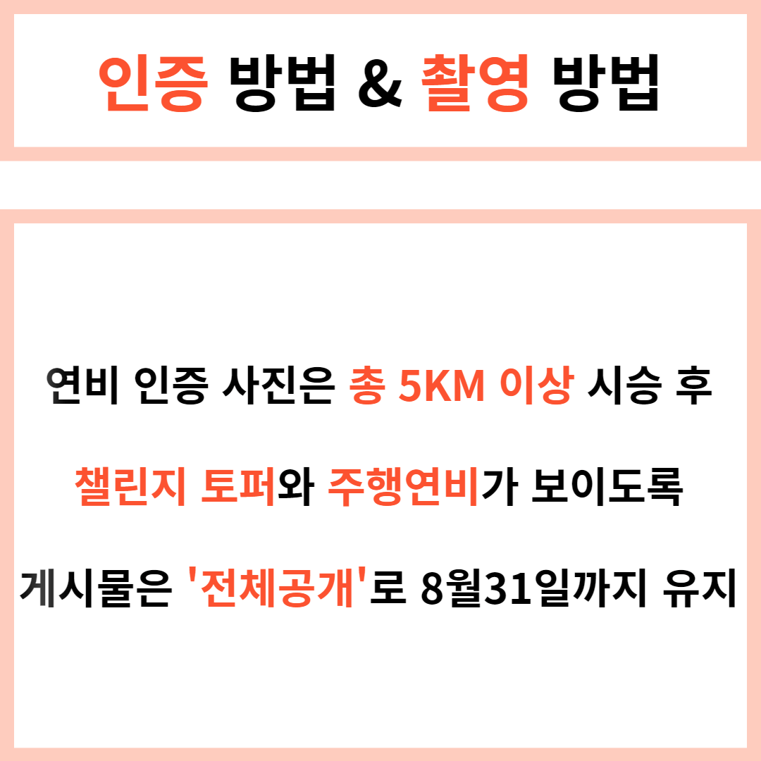 XM3 하이브리드