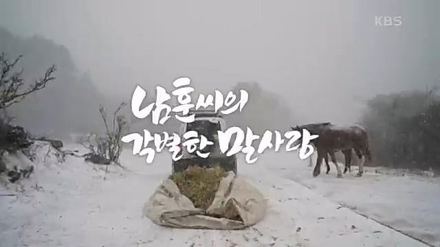 [189회] 다큐온 - KBS남훈 씨의 각별한 말 사랑] 연평균 1400여 마리의 경주마들이 경마장을 떠나 퇴역 경주마가 된다.ts_20230330_203922.543.jpg