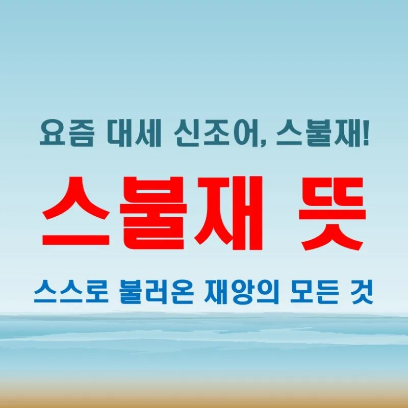 스불재 뜻 예시 의미 사용법_6