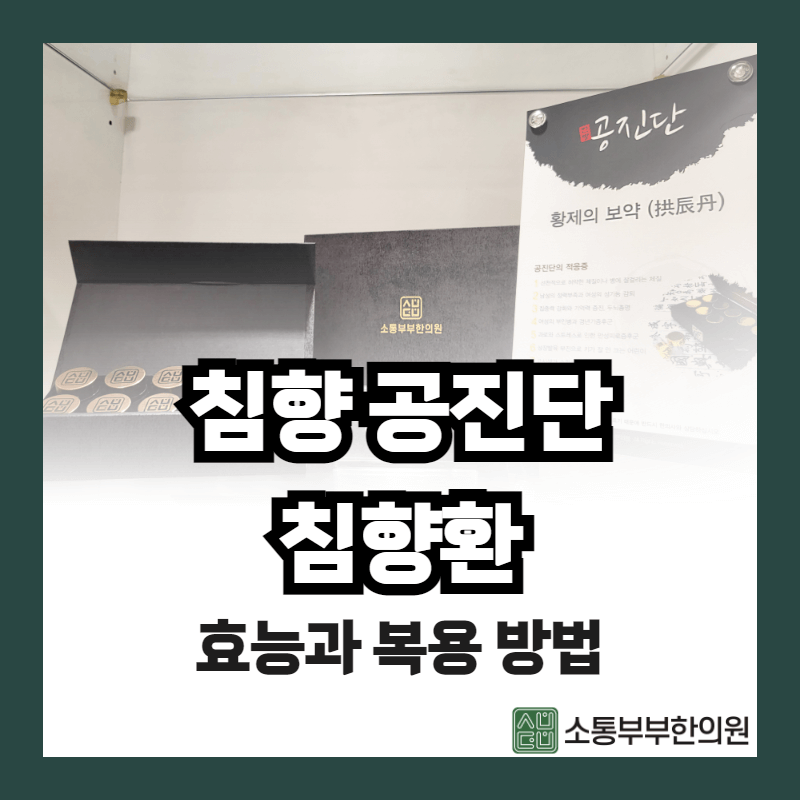  침향환 효능과 침향 효능 / 복용방법