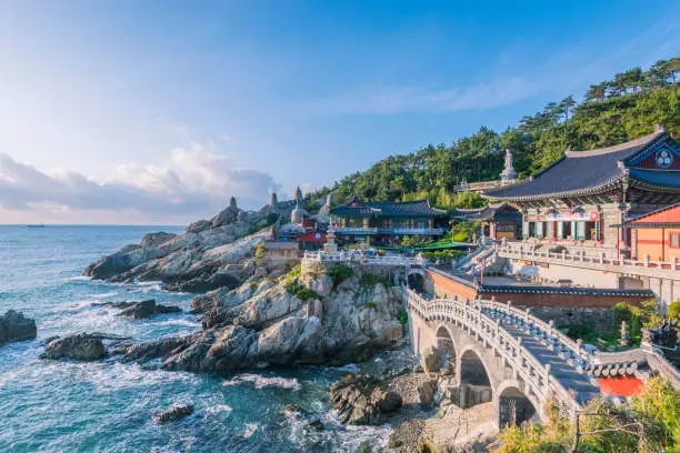 부산국제영화제 개막식 예매