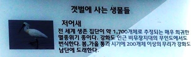 저어새 안내문, 흰바탕에 검은 글씨,
