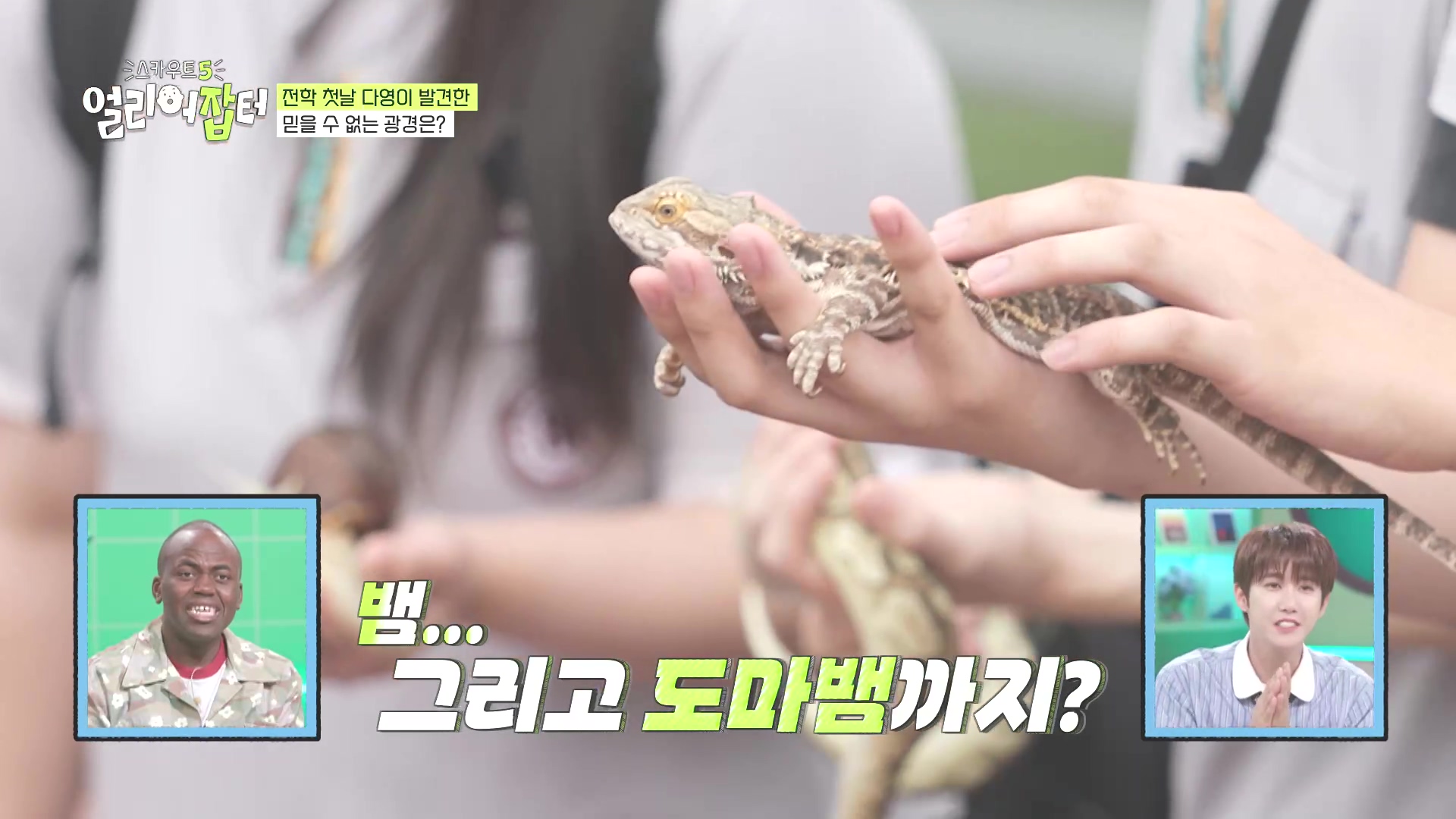 국내 대회 심사위원도 참여한 국제 대회에서 장려상 받은 고등학생 | 인스티즈