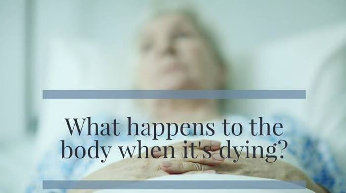 죽기 전 나타나는 신체적 증상(ft. 영국여왕) VIDEO: The physical process of dying