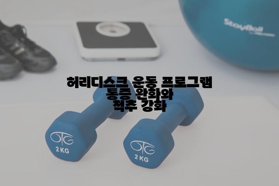 허리디스크 운동 프로그램 통증 완화와 척추 강화