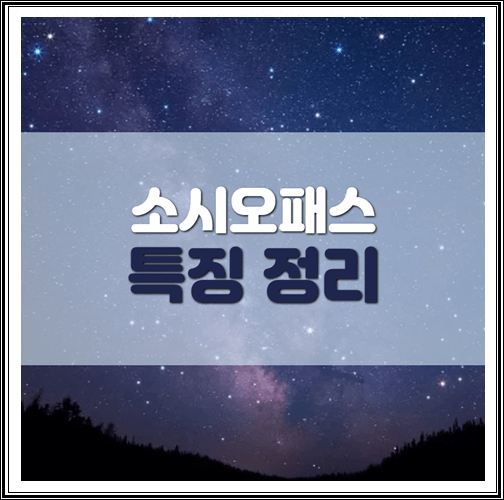  소시오패스 특징 정리