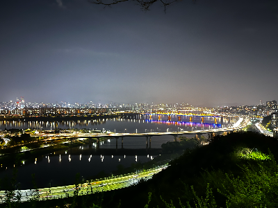 응봉산 팔각정에서 본 야경