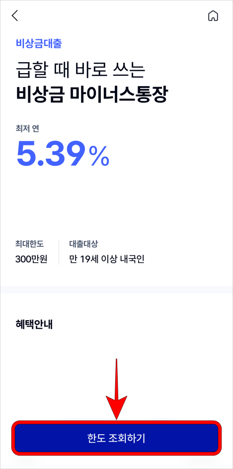 '한도 조회하기'를 선택하여 신청 절차를 진행