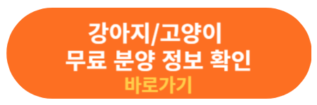 강아지 고양이 무료분양 정보 사이트