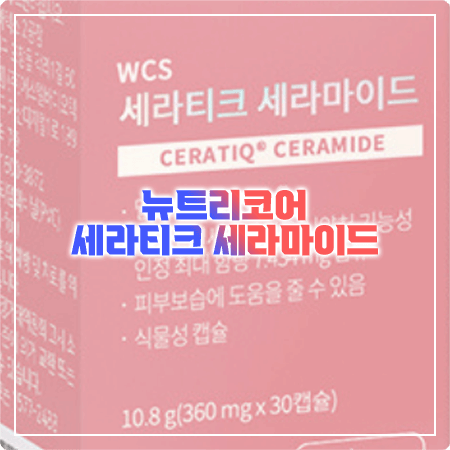 세라티크 세라마이드 효능 성분 함량 먹는법 부작용