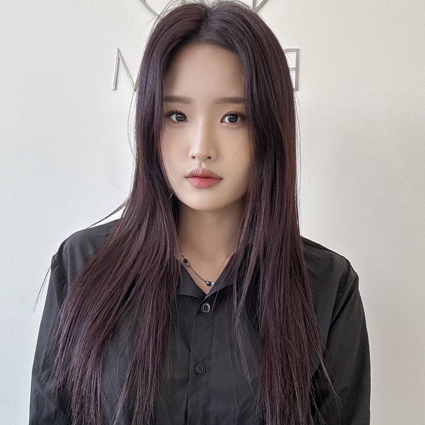 레드브라운 관련 이미지