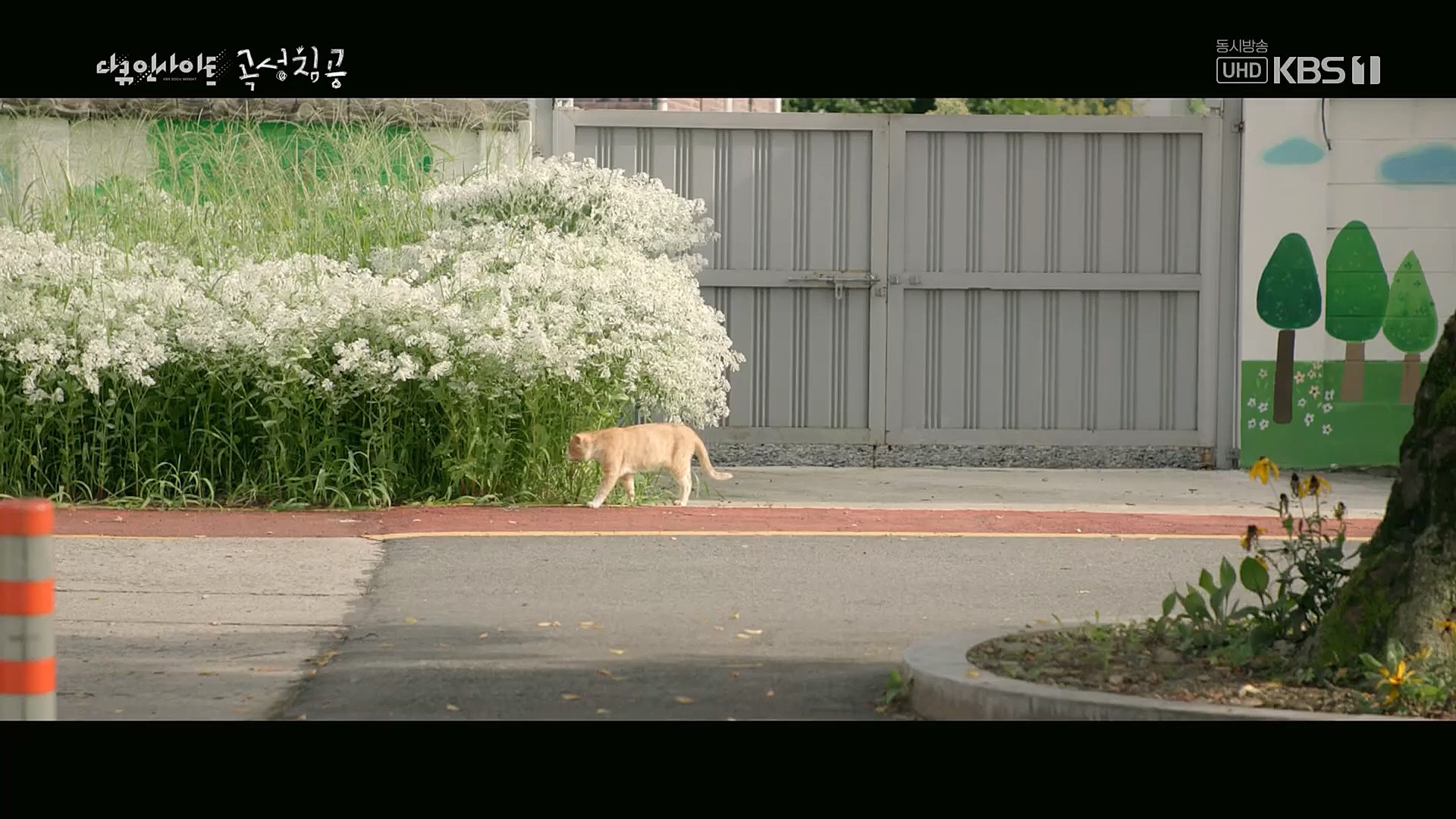 다큐 인사이트.E140.230202p.H264-F1RST.mp4_20230204_191226.668.jpg