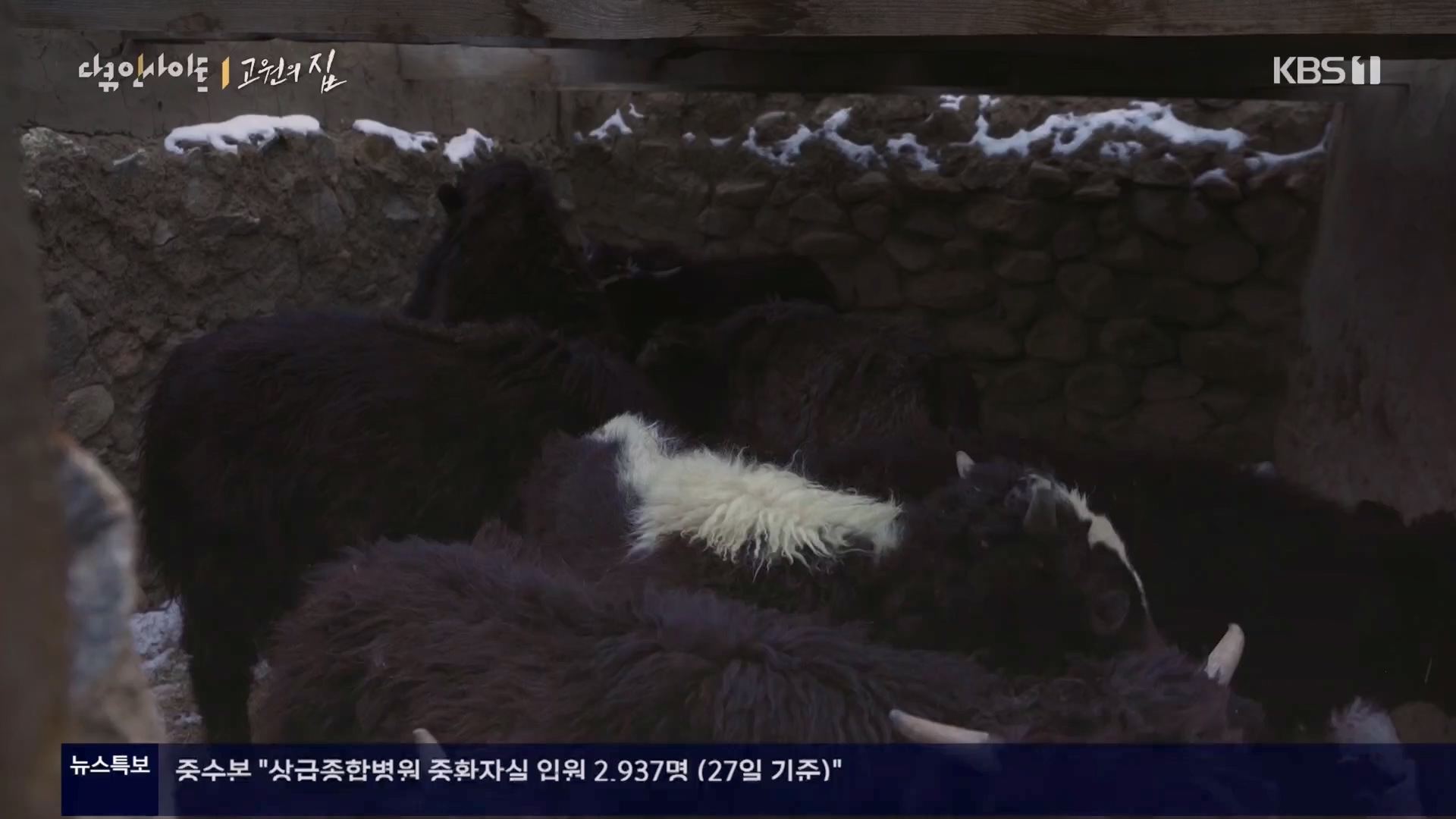 다큐 인사이트.E176.240328p.H264-F1RST.mp4_20240330_162905.454.jpg