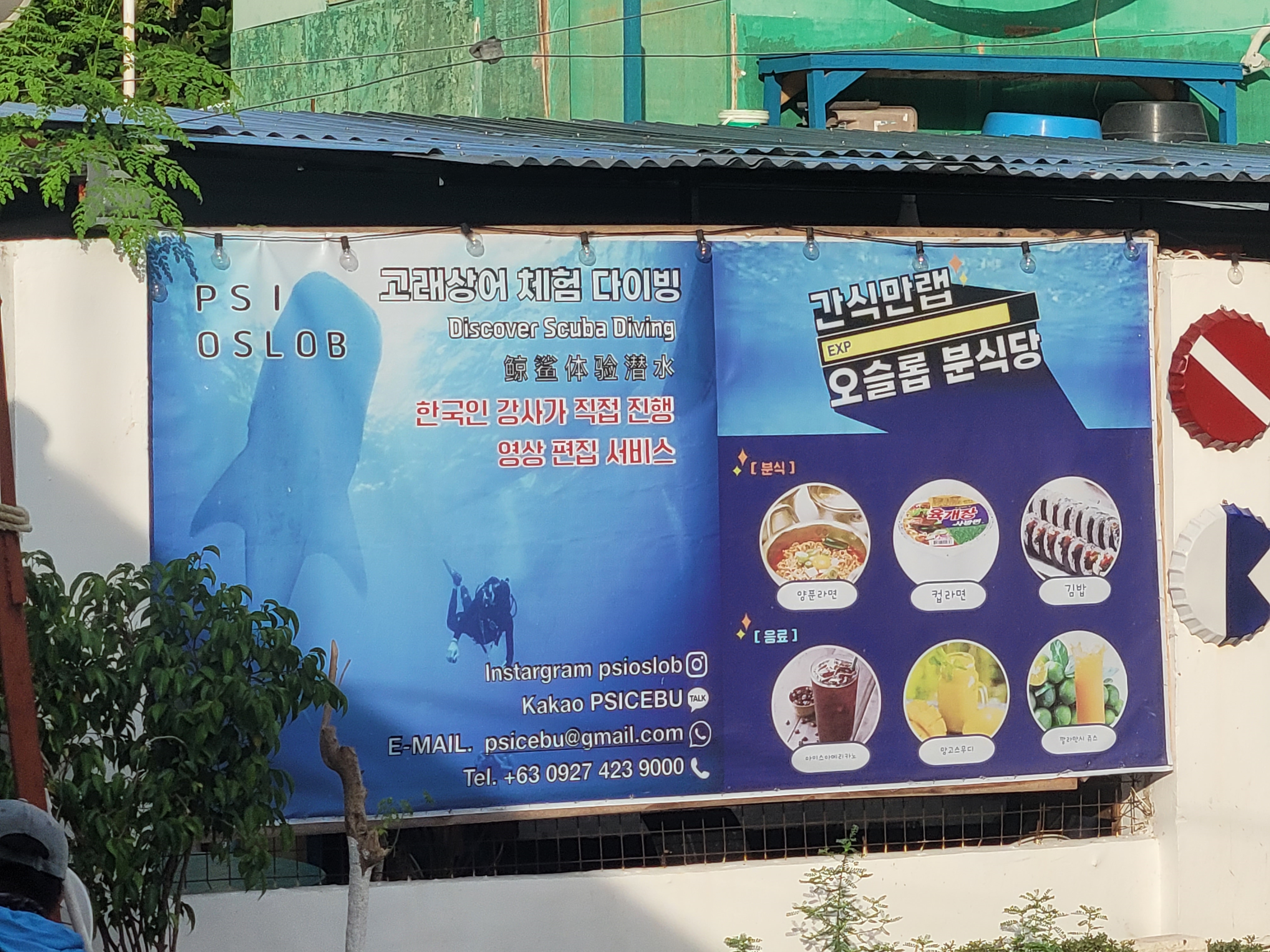 세부전문투어 이미지