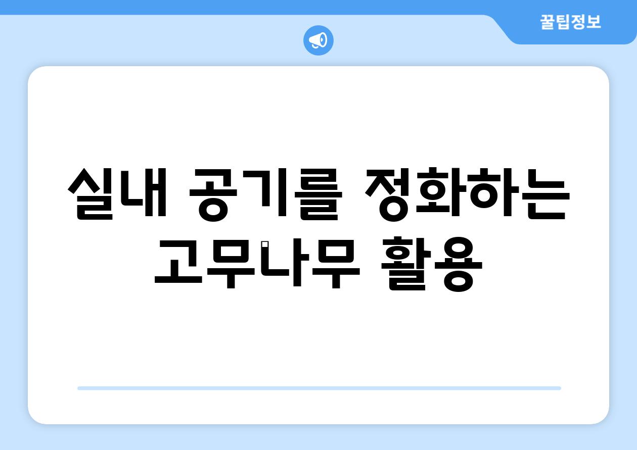 실내 공기를 정화하는 고무나무 활용