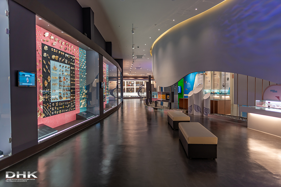 국내 1박2일 여름 여행 추천1박2일 서해 섬여행 신안 가볼만한곳 자은도 1004뮤지엄파크 세계조개박물관, 해바라기 6