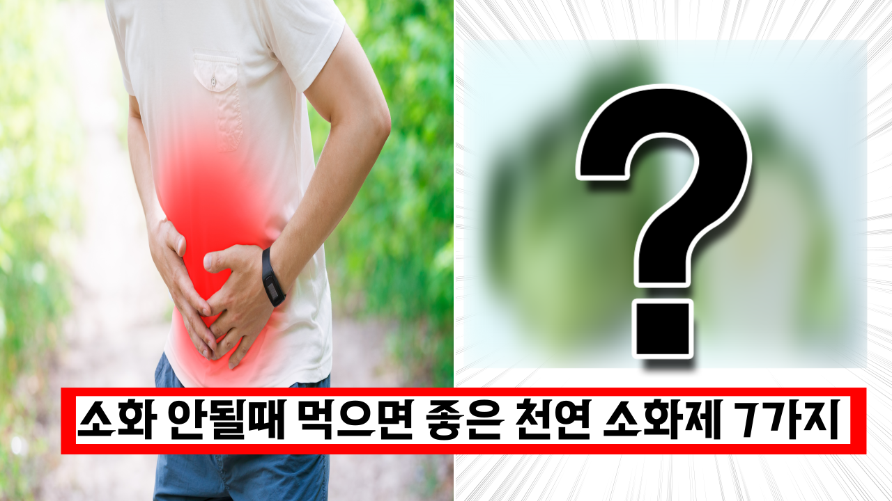  한의사 추천하는 과식했을때 약 대신 먹으면 좋은 천연 소화제 7가지
