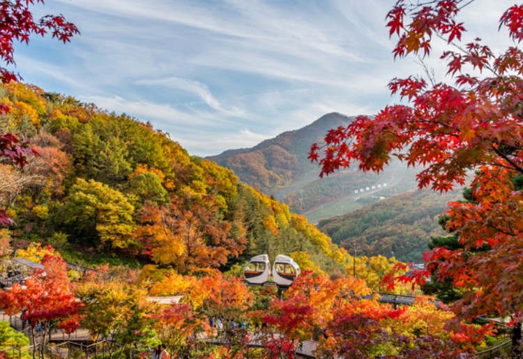 11월 국내여행지 베스트 10 알아보자