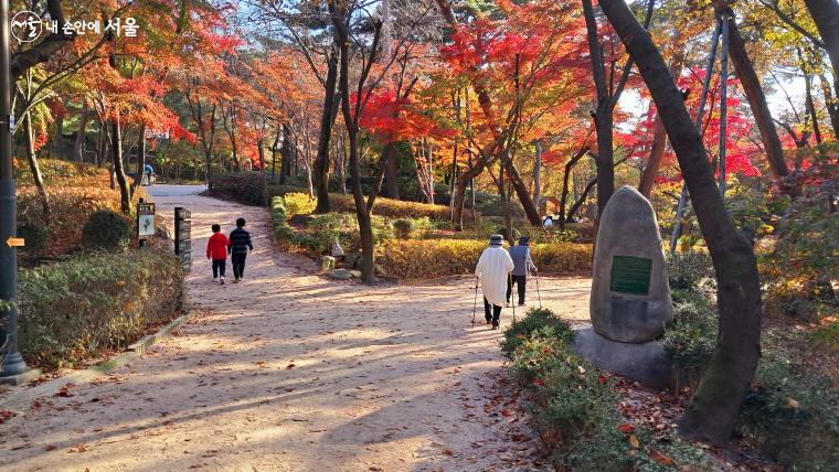 할머님들이 단풍 고운 공원길을 노르딕 워킹으로 산책 중이다. ⓒ이선미