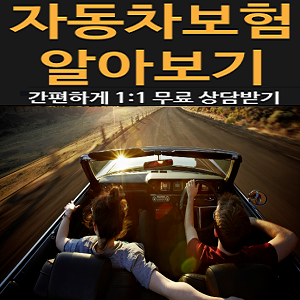  제일 저렴한 30대자동차보험료 확인
