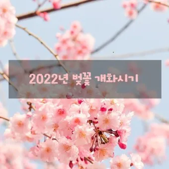 2025년 봄꽃 개화시기 지역별 개나리 진달래 서귀포 여수 서울_8