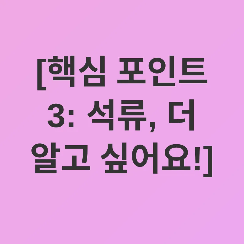석류의 효능_3