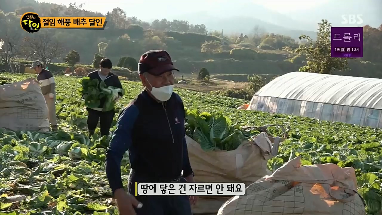 생활의 달인.E868.221213p.H264-F1RST.mp4_20221213_194322.351.jpg