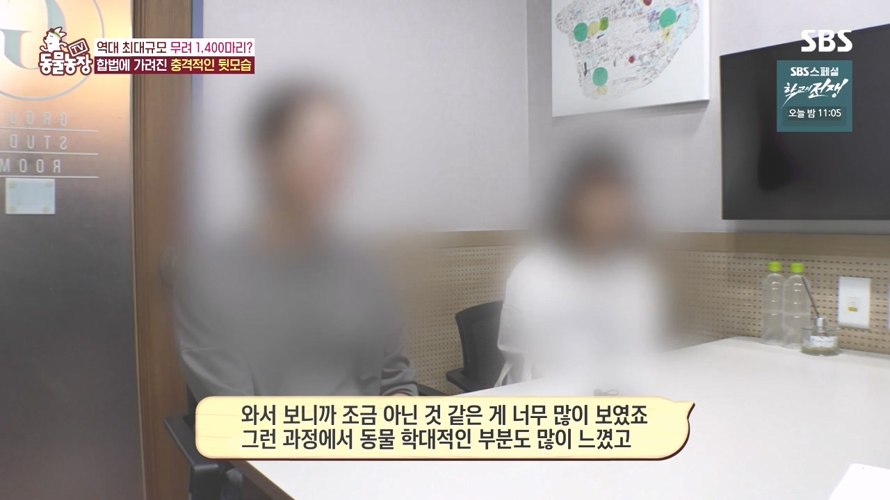 TV 동물농장.E1142.231023p-NEXT.mp4_20231022_172015.087.jpg