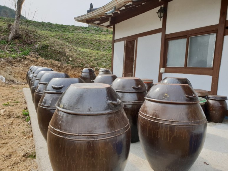  생방송 오늘저녁 경북 안동 고택 텃밭 백화점 부부의 자연 밥상 농산물 꾸러미 택배 주문 및 문의
