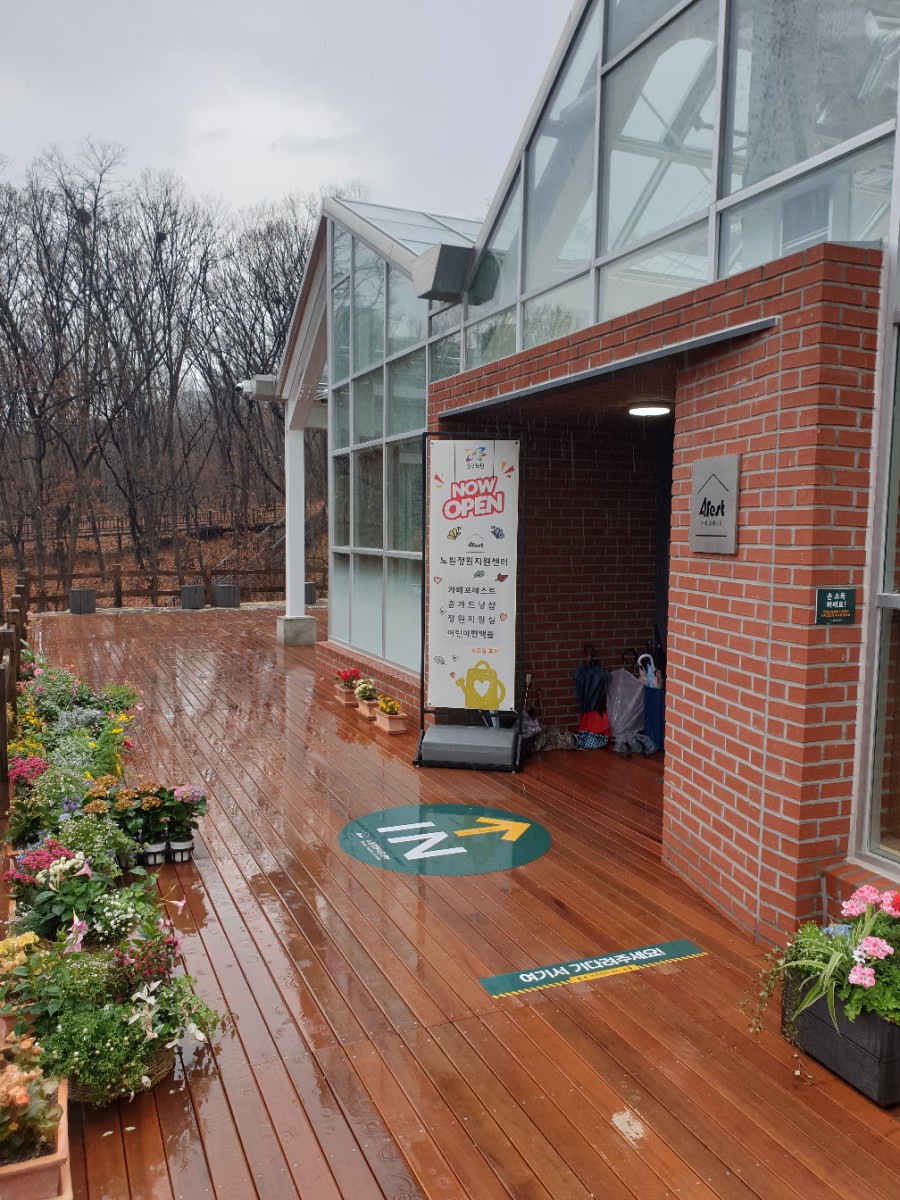 포레스트51 이미지