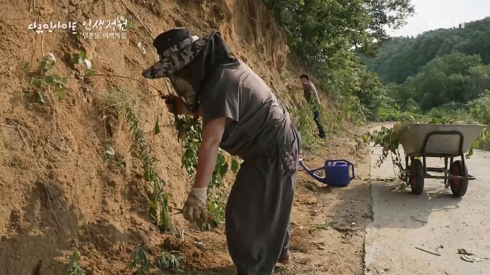 다큐 인사이트.E135.221229p.H264-F1RST.mp4_20230109_204221.711.jpg