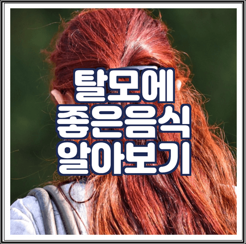  탈모에 좋은 음식 10가지 알아보기