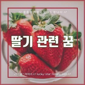  【꿈해몽/꿈풀이】 딸기 관련 꿈