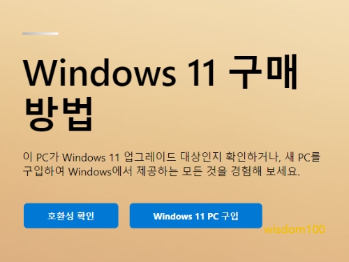 윈도우11 구매 방법