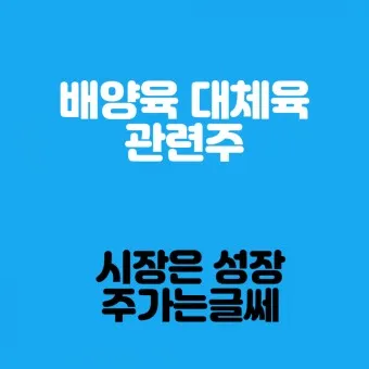 배양육 대장주 관련주 TOP5 총정리_16