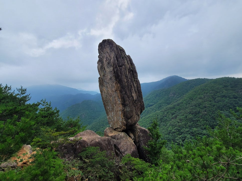 지금가야산 이미지