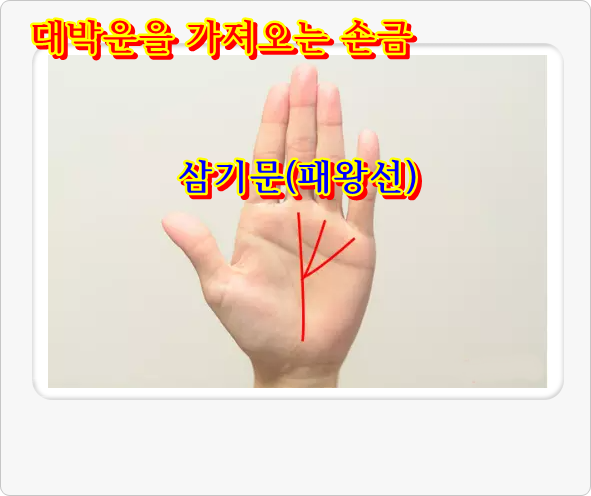  대박운을 나타내는  5가지 손금