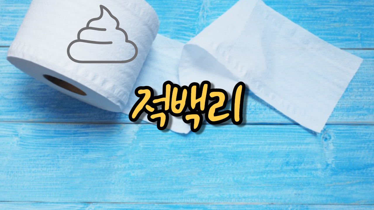  적백리