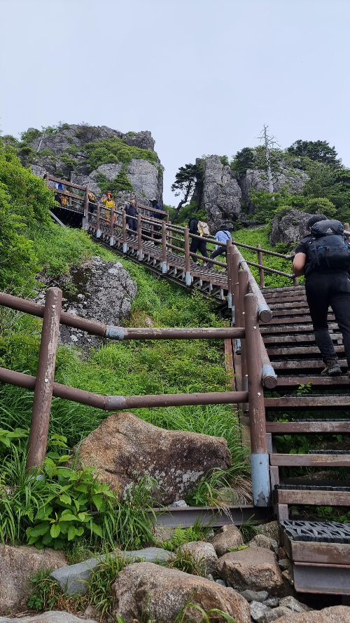 블랙야크 100대 명산, 경남 산청군 지리산 천왕봉 환경교육원(로타리 대피소) 원점회귀 최단코스 - 블랙야크 100대 명산, 경남 산청군 지리산 천왕봉 - 🥾 등산시작 블랙야크 100대 명산, 경남 산청군 지리산 천왕봉 환경교육원(로타리 대피소) 원점회귀 최단코스 - 블랙야크 100대 명산, 경남 산청군 지리산 천왕봉 - 🥾 등산시작