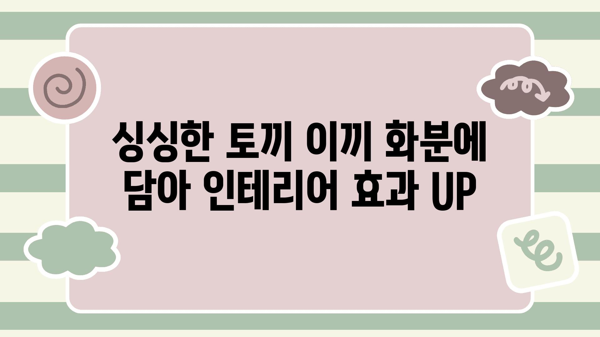 싱싱한 토끼 이끼 화분에 담아 인테리어 효과 UP