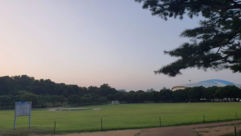 올림픽공원-잔디