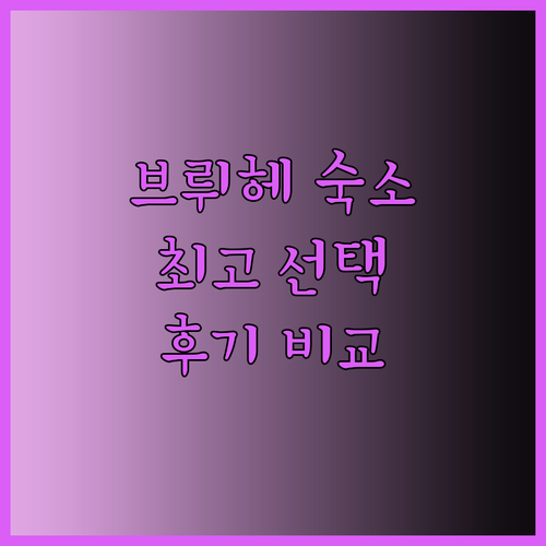 브뤼헤 숙소 고르기 어려우시죠? 가격