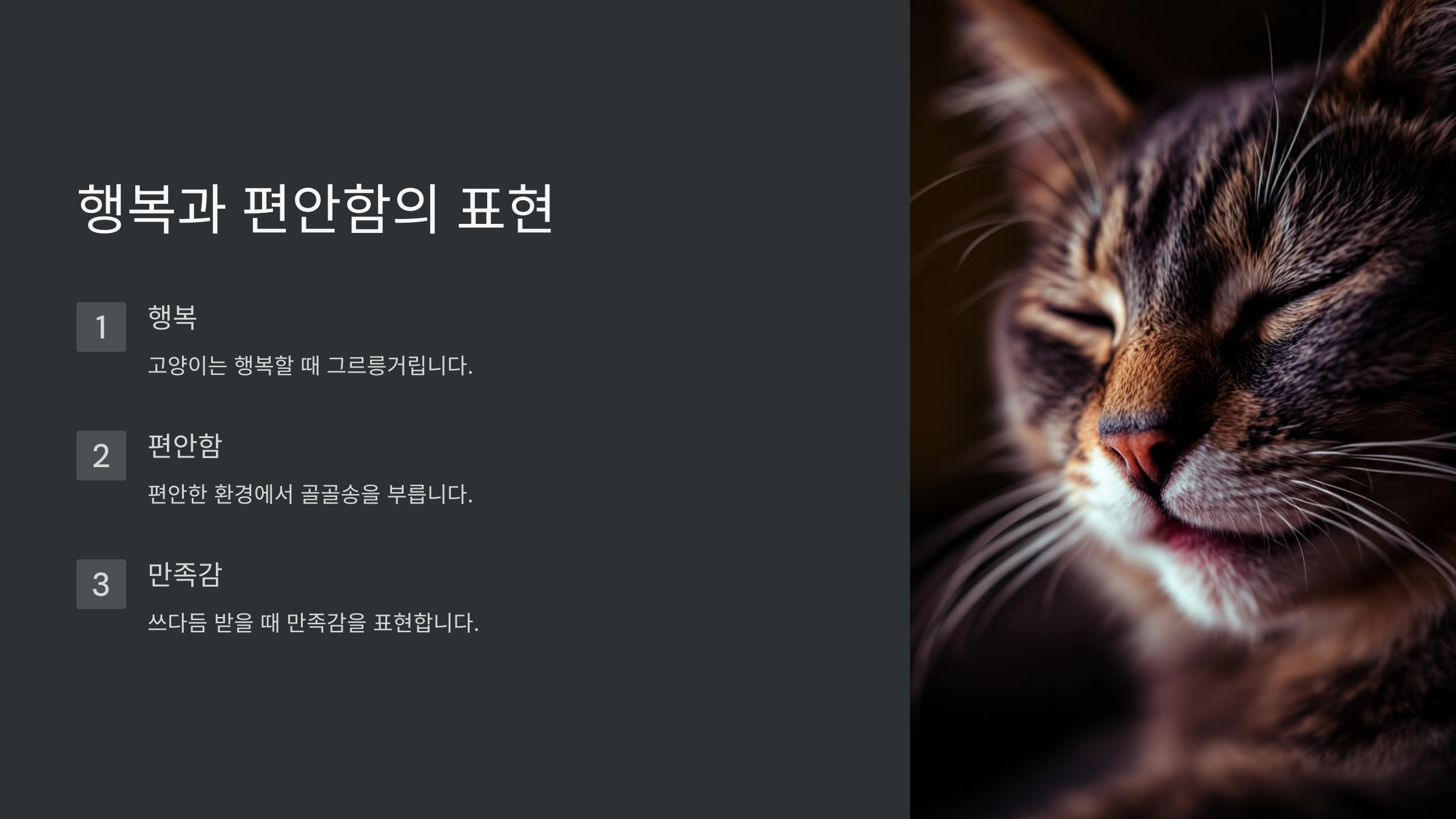 고양이 골골송 그르릉